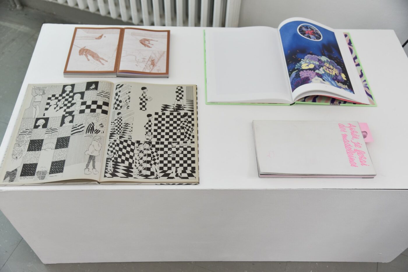 DNSEP_2024_Desig_Graphique_&_Numerique-Anne_de_Mauregard