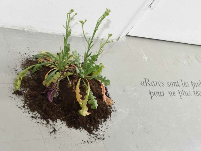 Rares sont les problèmes qui s’envolent d’eux-mêmes pour ne plus revenir