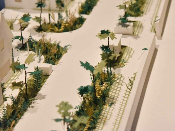 Végétaliser les villes : le cas rémois