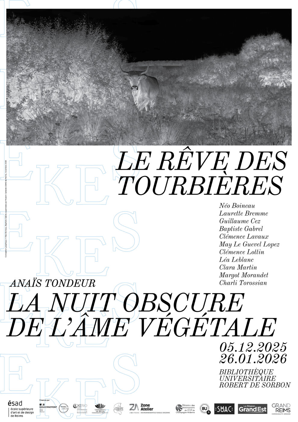 ARC EKES x Anaïs Tondeur : expositions à la BU Robert de Sorbon 