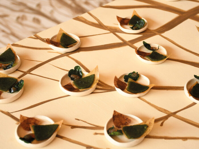 Perceptible, Imperceptible - une expérience culinaire sur les phénomènes botaniques de l'arbre en forêt